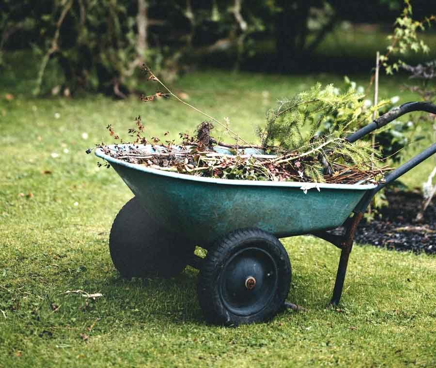 Garden-cleanup-annie-spratt-j8xUK4ijoj0-unsplash-web